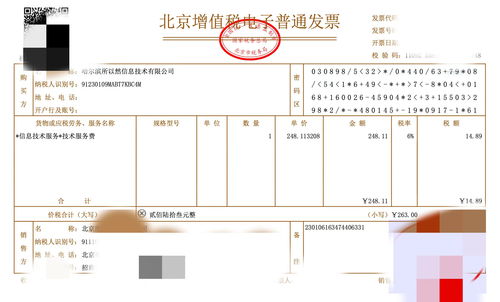 利用本地大模型高效提取发票信息 票据信息咨询服务的革新之路