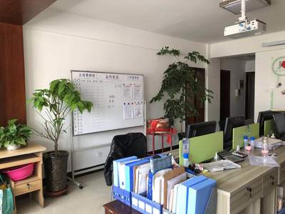 兰州金科财务咨询服务 票据信息咨询的专业解析与价值