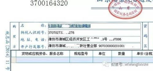 高效开票指南 模糊查询与票据咨询服务，助您快速完成发票开具
